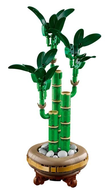 10344 - LEGO The Botanical Collection - Dracena sandera