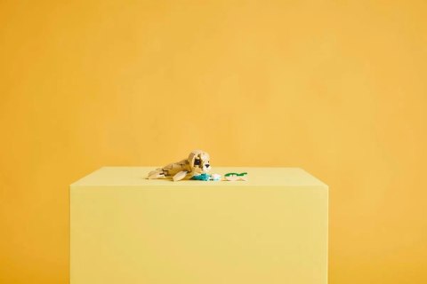 31162 - LEGO Creator - Uroczy króliczek