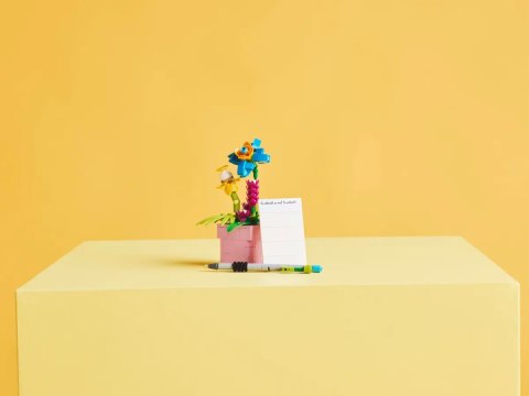31169 - LEGO Creator - Maszyna do pisania z kwiatami
