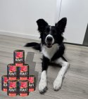 Karma Mokra Dla Psów RAFI z Wołowiną, Borówką i Żurawiną 400g - 48 szt.