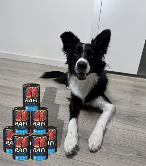 Zestaw 6x400g Karma Mokra Dla Psów RAFI MIX Smaków (Jagnięcina, Wołowina)