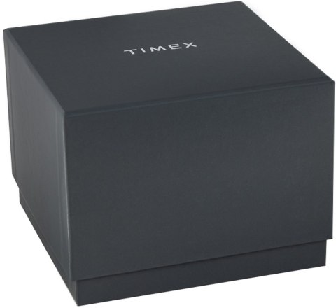 Zegarek Męski TIMEX Q Reissue TW2U61600 + BOX