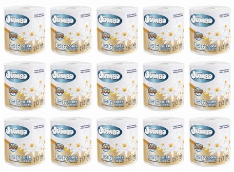 Ręcznik papierowy 1R SŁONIK JUMBO MAXI 300 list 2W - 15 szt.